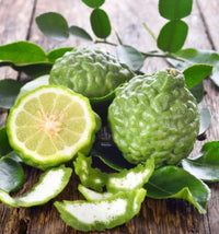 Bergamot