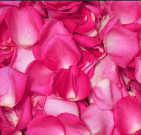 Rose Petals