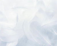 Soft White Musk