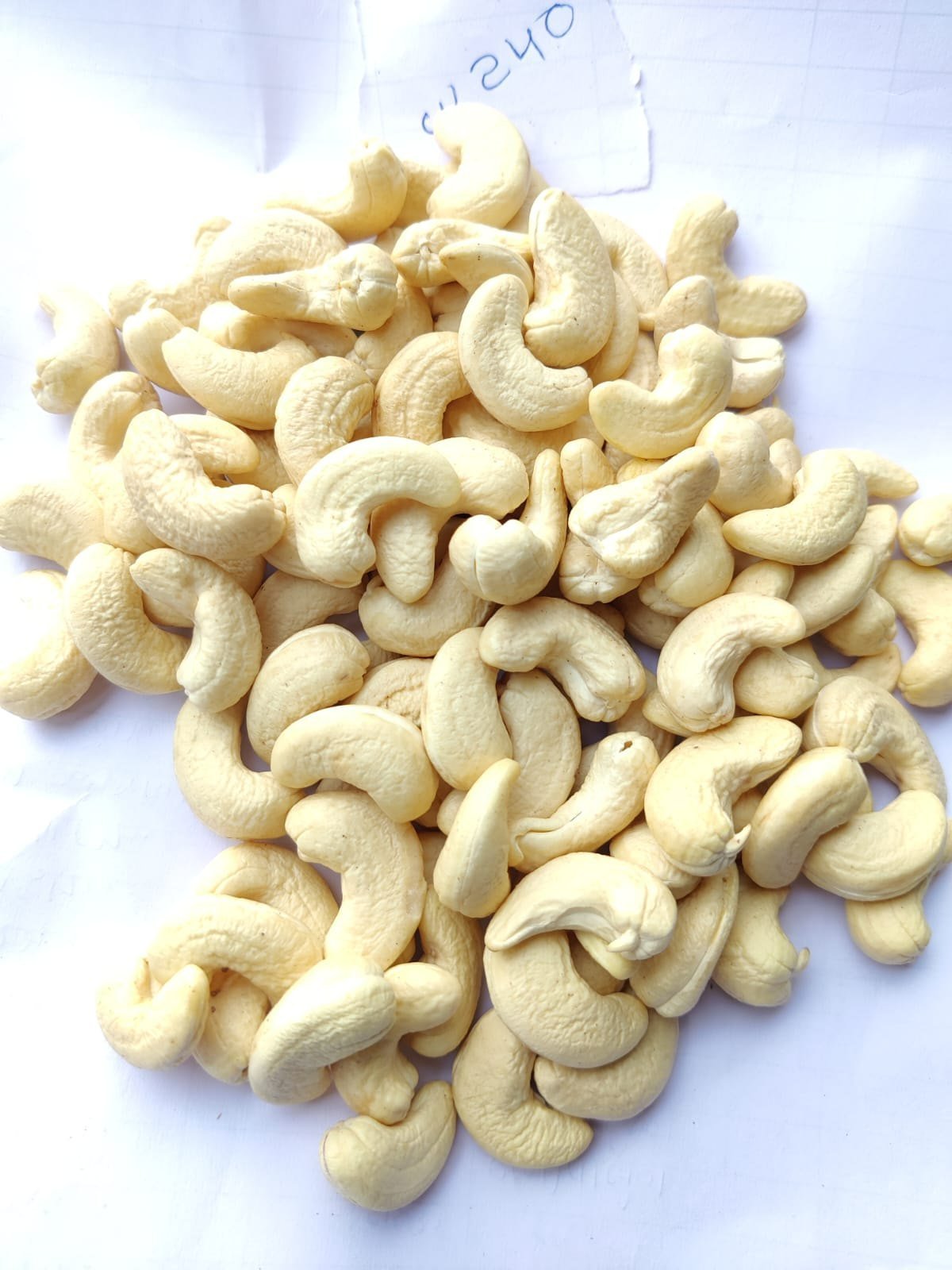 Kaaju Mangalore W-240 | Cashews | Kaju | Large Size - The Natures Palm